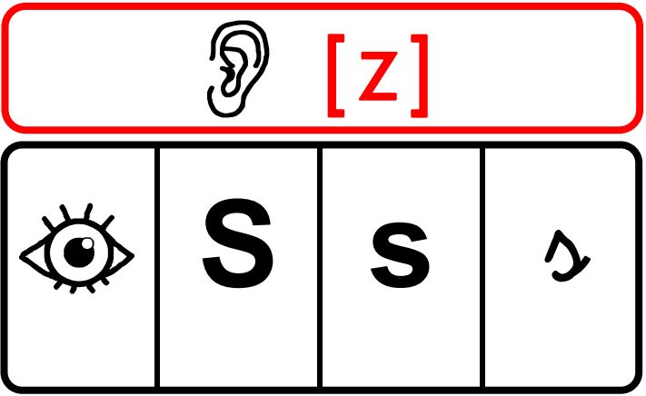 le son z – cahier du jour